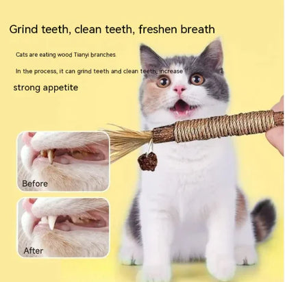 Polygonum Molar Cat Toy Stick - Natural Dental Chew